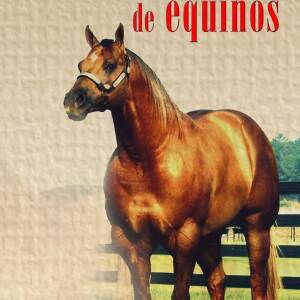 Manual de Equinos